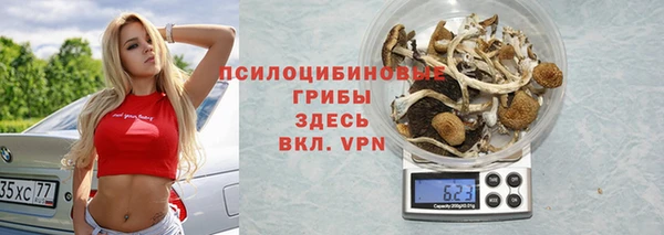 ПСИЛОЦИБИНОВЫЕ ГРИБЫ Абинск