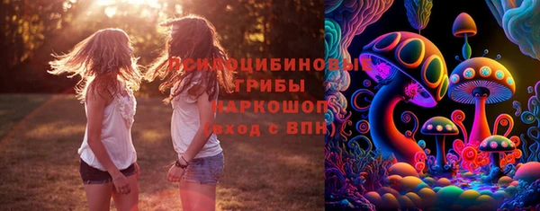 ПСИЛОЦИБИНОВЫЕ ГРИБЫ Абинск